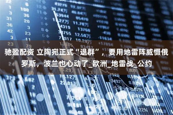 驰盈配资 立陶宛正式“退群”，要用地雷阵威慑俄罗斯，波兰也心动了_欧洲_地雷战_公约