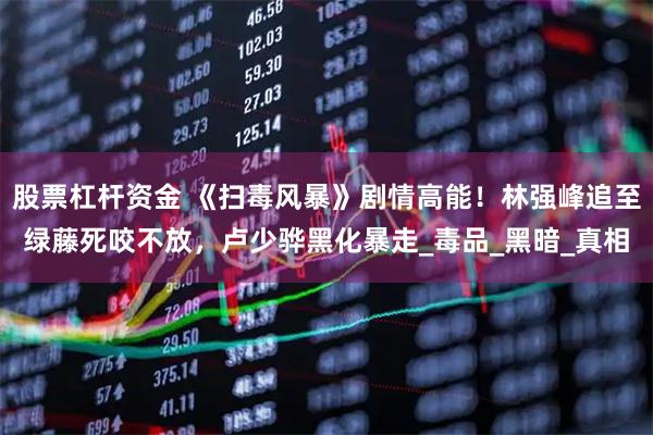 股票杠杆资金 《扫毒风暴》剧情高能！林强峰追至绿藤死咬不放，卢少骅黑化暴走_毒品_黑暗_真相