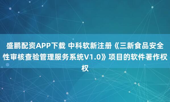 盛鹏配资APP下载 中科软新注册《三新食品安全性审核查验管理服务系统V1.0》项目的软件著作权