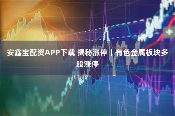 安鑫宝配资APP下载 揭秘涨停丨有色金属板块多股涨停